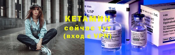 сатива Грязовец