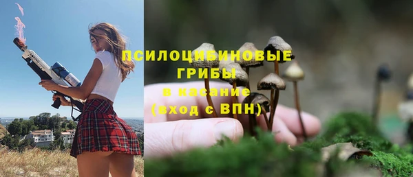 каннабис Богородицк
